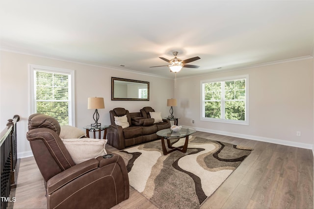 159 Shady Oaks Dr, Benson, NC 27504 - living room featuring a wealth of natural light, wood finished floors, ornamental molding, and a ceiling fan