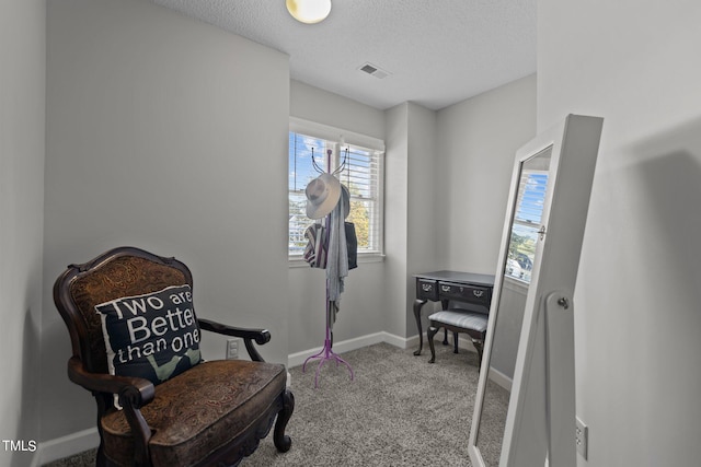 living area with carpet and a textured ceiling