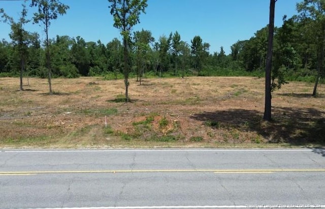 Listing photo 2 for Deep Branch Rd, Lumberton NC 28360