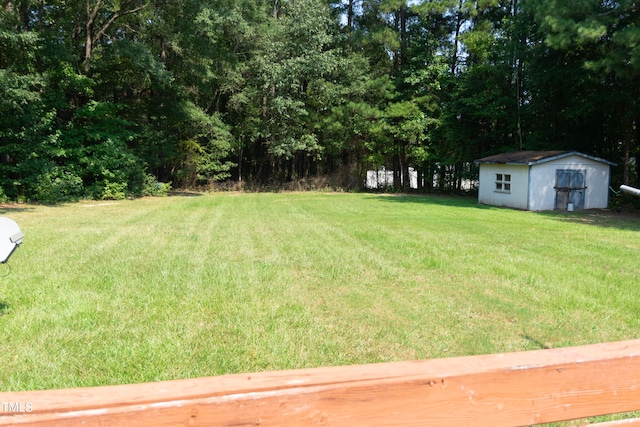 view of yard featuring a shed