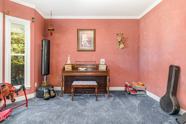 office area with carpet flooring and ornamental molding