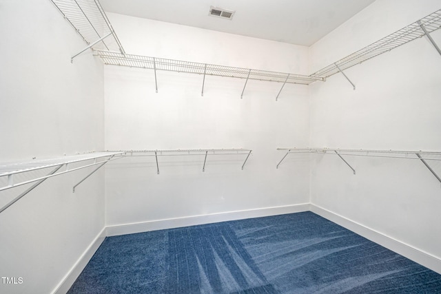 3313 Overhead Ct, Willow Springs, NC 27592 - walk in closet featuring dark carpet