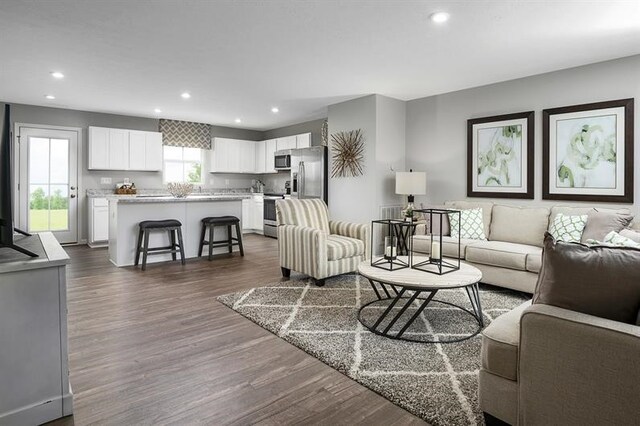 living room featuring dark wood-type flooring