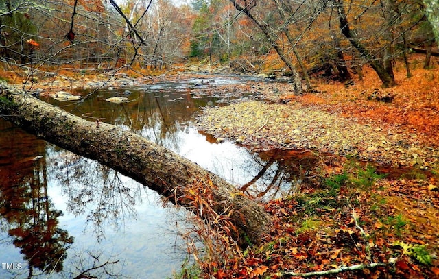 water view featuring a view of trees