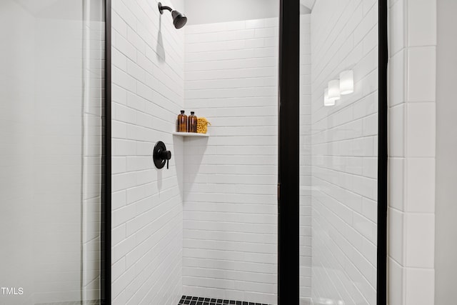 details with a shower with shower door