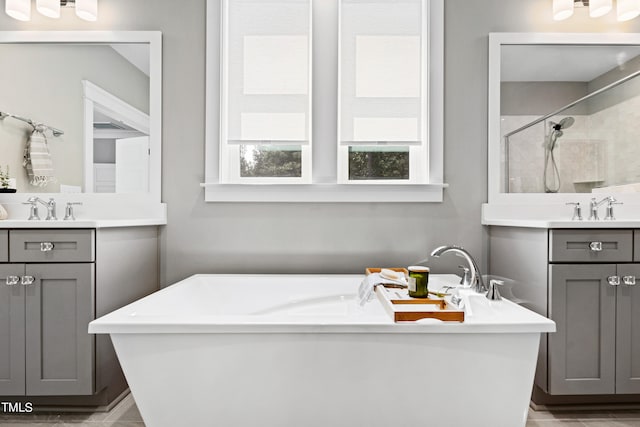 bathroom with vanity and separate shower and tub