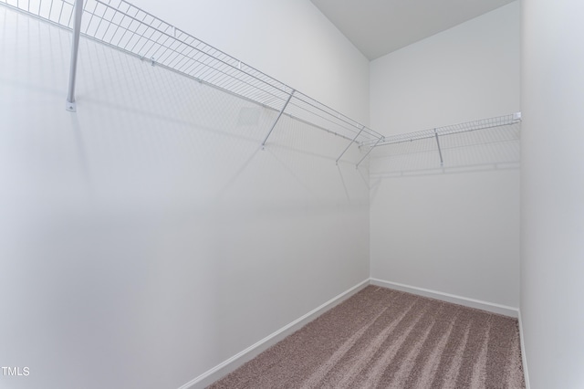 spacious closet with carpet