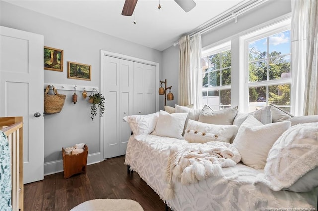 bedroom featuring dark hardwood / wood-style floors, ceiling fan, and a closet