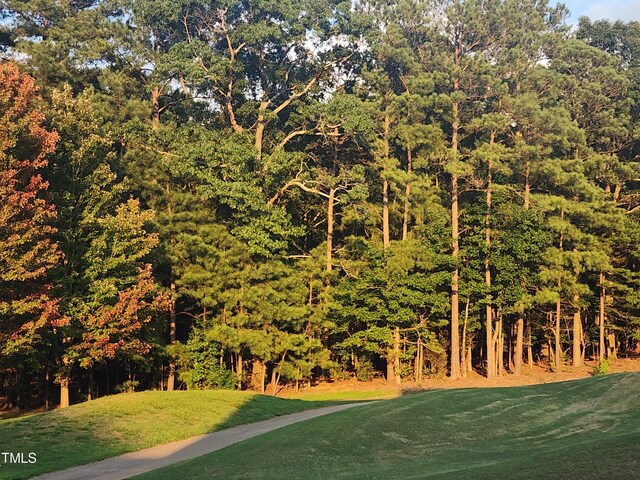 view of community featuring a lawn