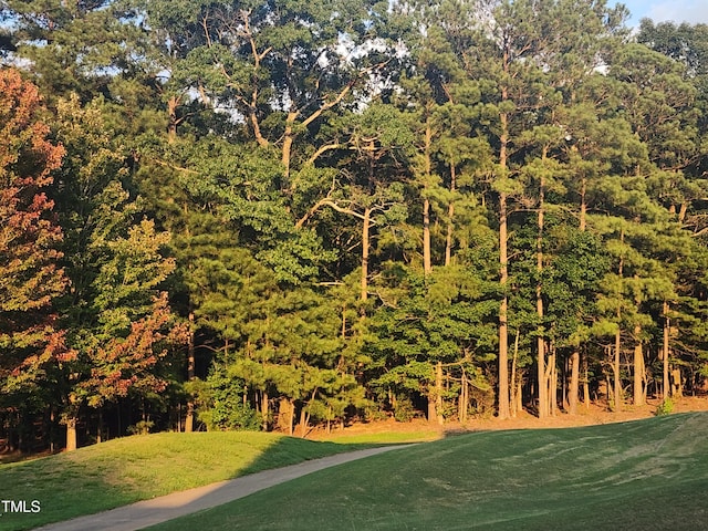 view of property's community featuring a forest view and a lawn