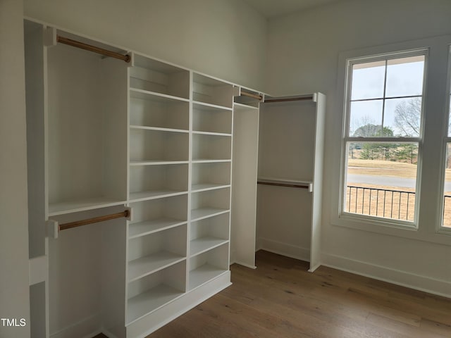 spacious closet featuring wood finished floors