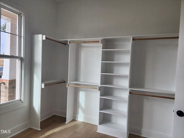 walk in closet featuring wood finished floors