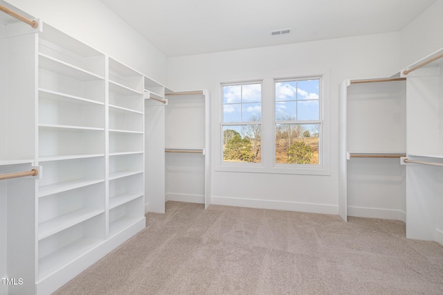 walk in closet featuring visible vents and carpet flooring