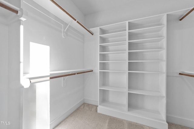 spacious closet with carpet