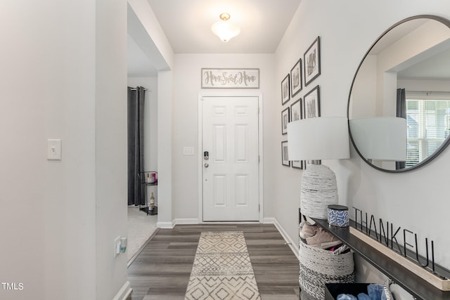 entrance foyer with dark hardwood / wood-style flooring