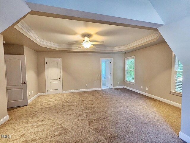 carpeted spare room with ceiling fan, a raised ceiling, and crown molding