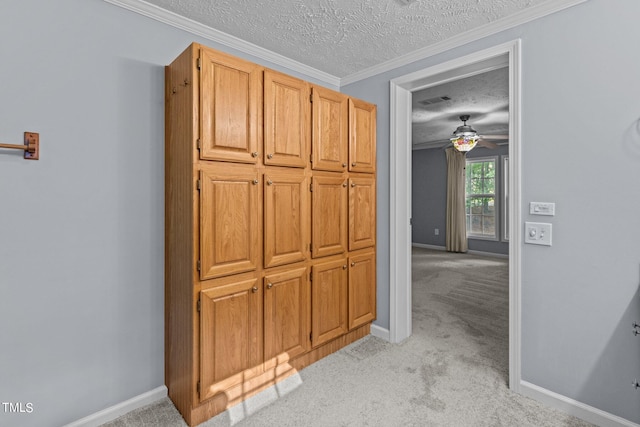 hallway with crown molding, light colored carpet, and a textured ceiling