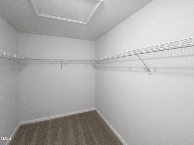 walk in closet with carpet floors and attic access