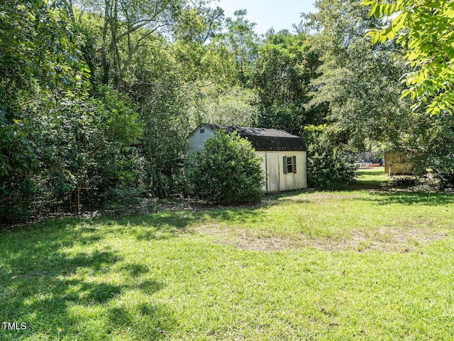 view of yard with a storage shed