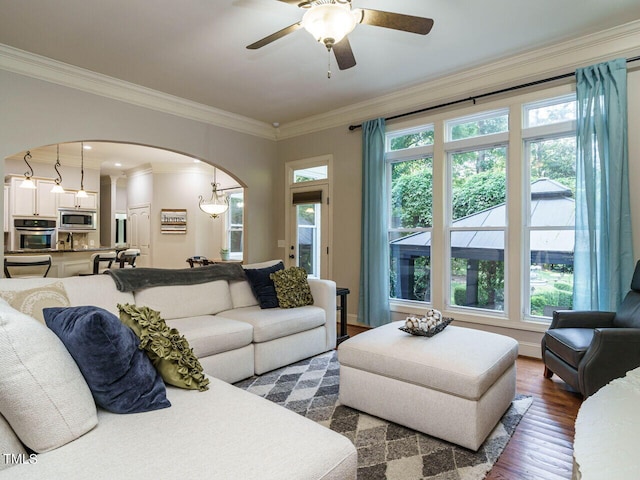 living room with ceiling fan with notable chandelier, wood-type flooring, plenty of natural light, and ornamental molding