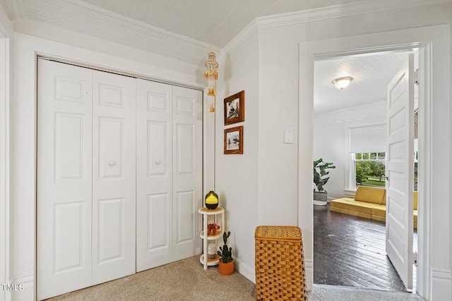 interior space featuring ornamental molding, a closet, and hardwood / wood-style floors