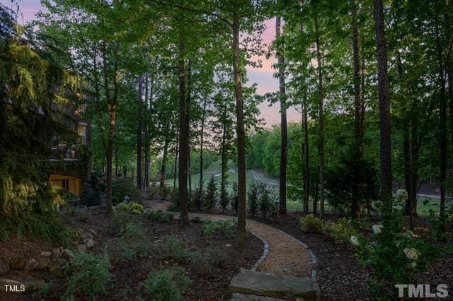 view of yard at dusk