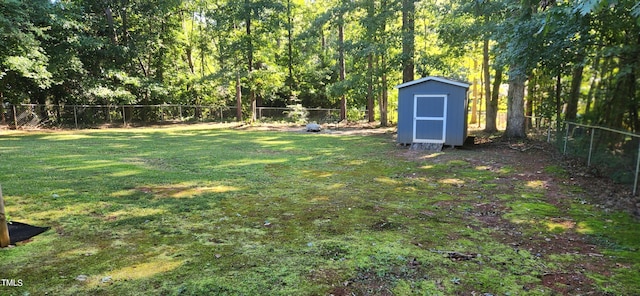 view of yard with a shed