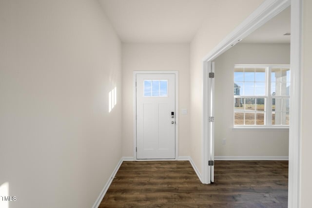 entryway with dark wood-type flooring