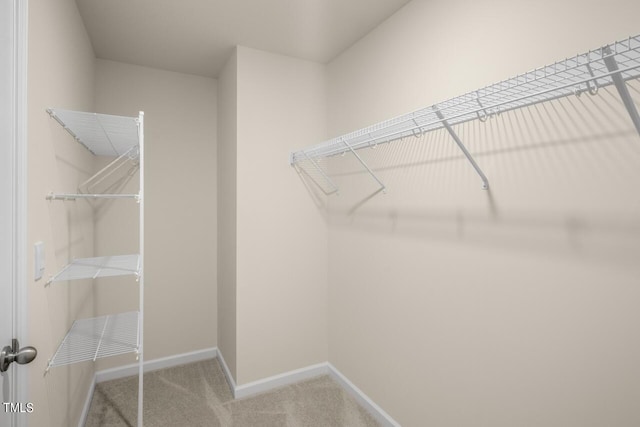 walk in closet featuring light carpet