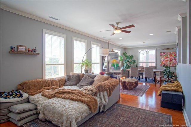 living room with hardwood / wood-style floors, ceiling fan with notable chandelier, ornamental molding, and a healthy amount of sunlight