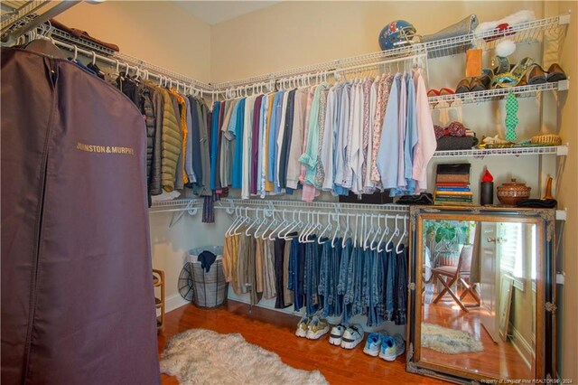 spacious closet featuring hardwood / wood-style flooring