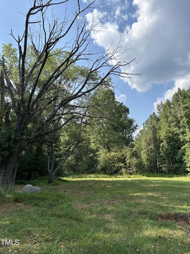 view of yard featuring a wooded view