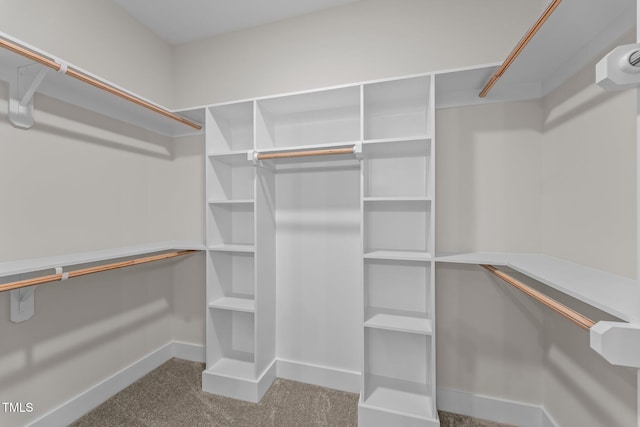 spacious closet with carpet flooring