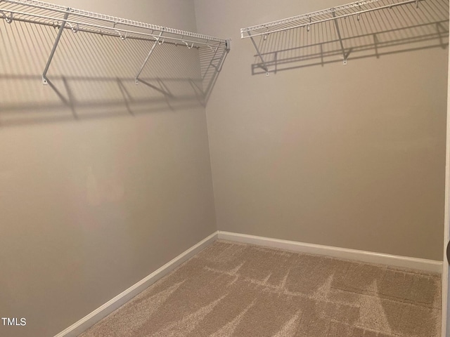 spacious closet with carpet flooring