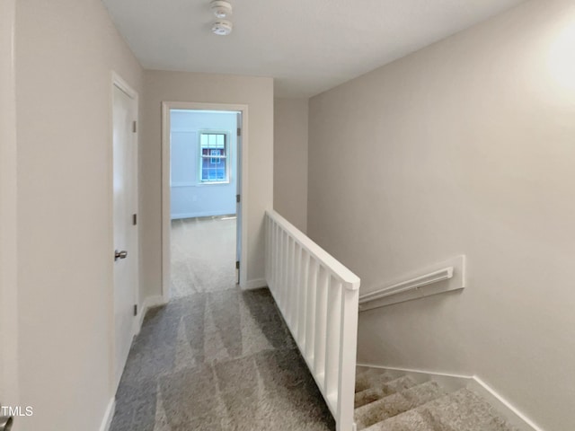 corridor featuring carpet flooring