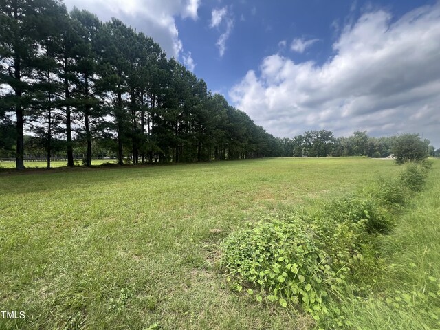 1 Edwards Store Rd, Mount Olive NC, 28365 land for sale