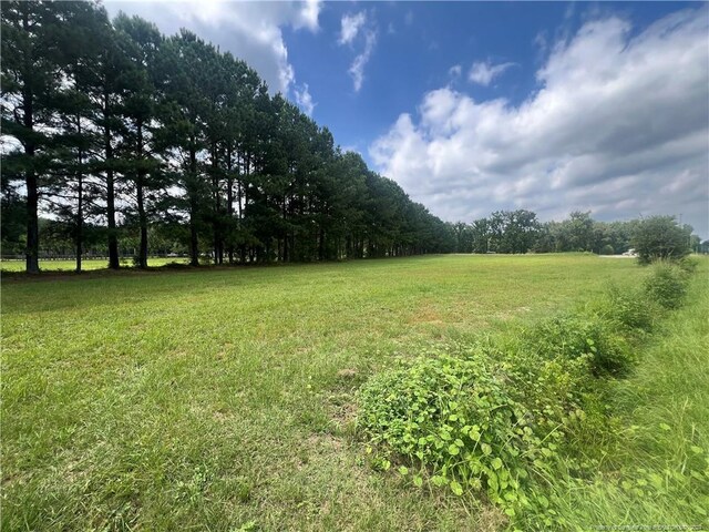 Edwards Store Rd, Mount Olive NC, 28365 land for sale