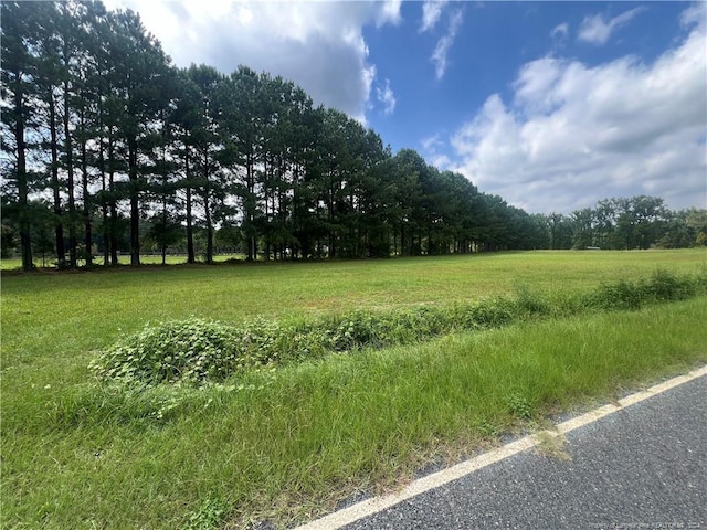 Listing photo 2 for Edwards Store Rd, Mount Olive NC 28365