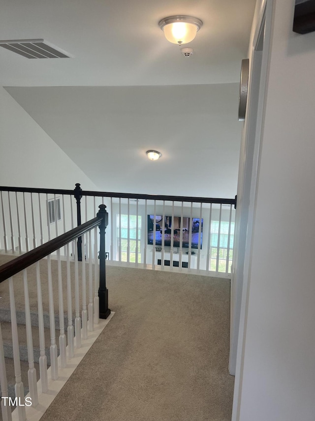 1565 Sage Treee Dr, Zebulon, NC 27597 - corridor with visible vents, carpet flooring, and a healthy amount of sunlight