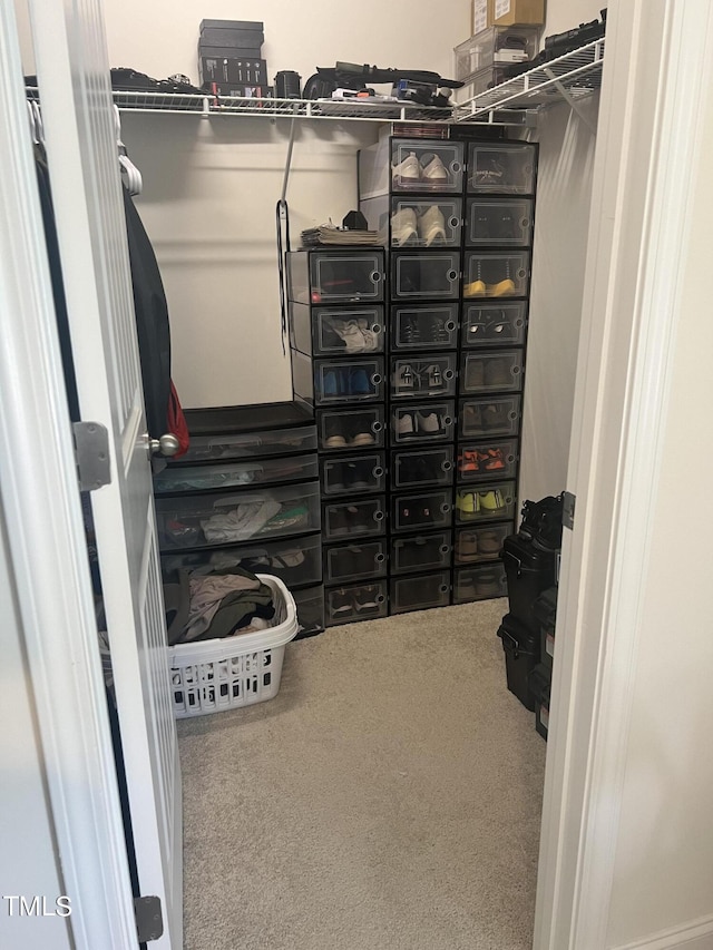 1565 Sage Treee Dr, Zebulon, NC 27597 - walk in closet featuring carpet floors