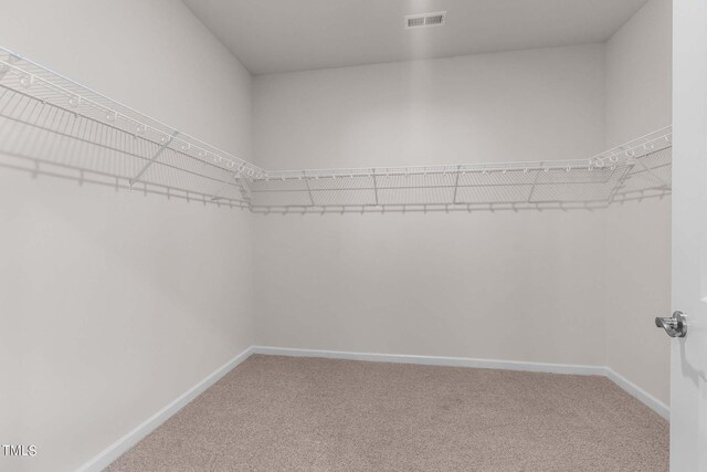 walk in closet featuring carpet flooring