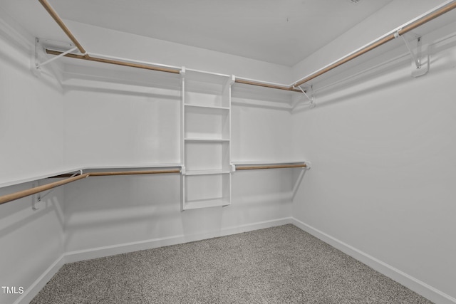 spacious closet with carpet flooring