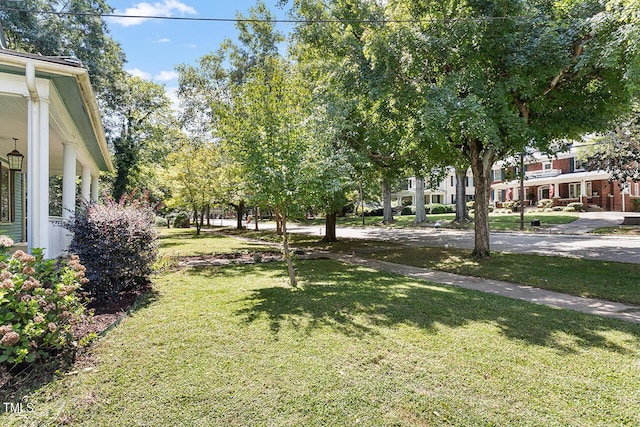 214 College St, Oxford, NC 27565 - view of yard