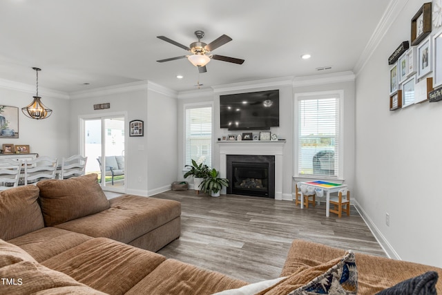 living room featuring ornamental molding, plenty of natural light, and wood finished floors