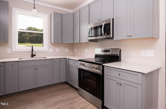 kitchen featuring light hardwood / wood-style flooring, gray cabinetry, stainless steel appliances, and sink