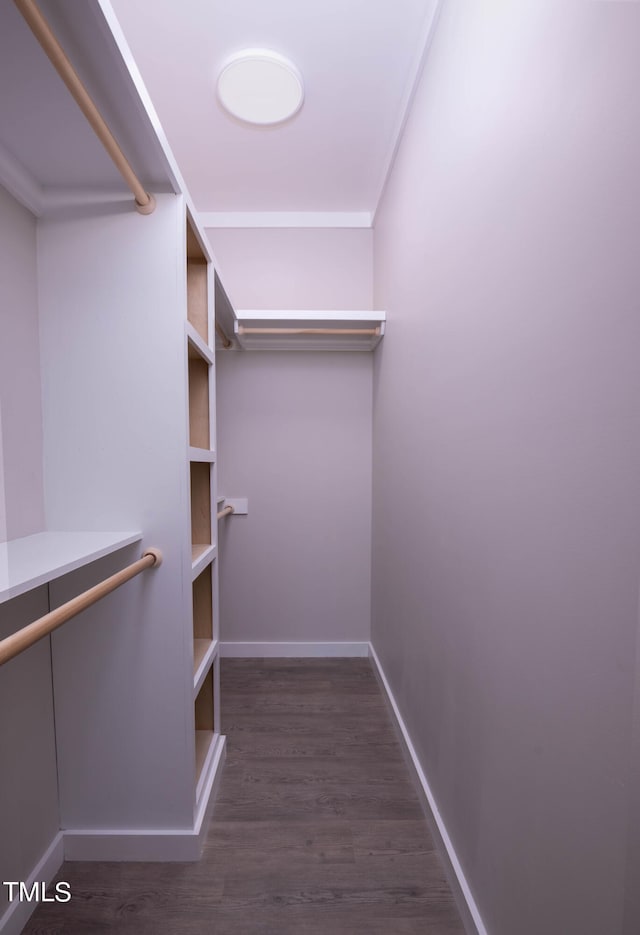 spacious closet featuring dark hardwood / wood-style floors