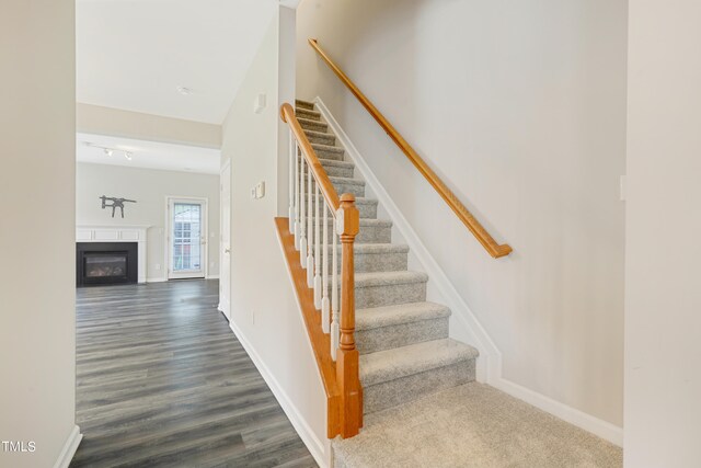 staircase featuring wood-type flooring