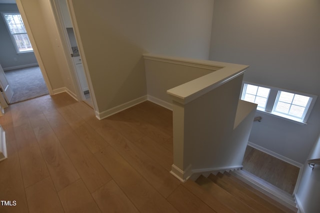 staircase with wood-type flooring