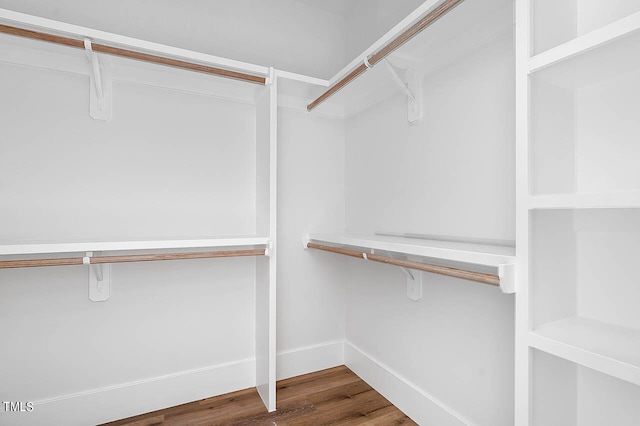 spacious closet with hardwood / wood-style flooring