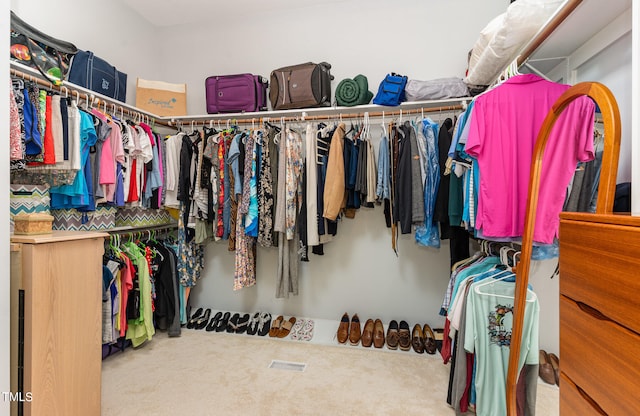 spacious closet with carpet flooring